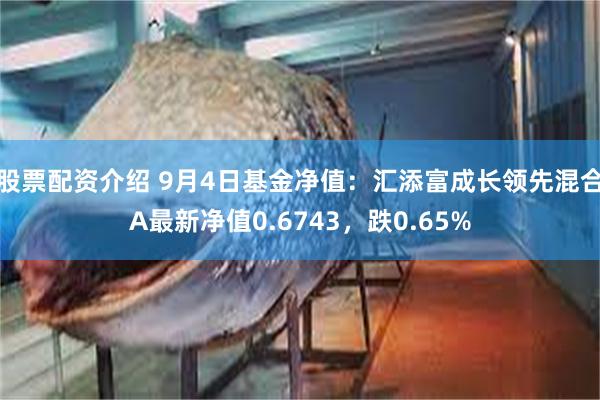 股票配资介绍 9月4日基金净值：汇添富成长领先混合A最新净值0.6743，跌0.65%