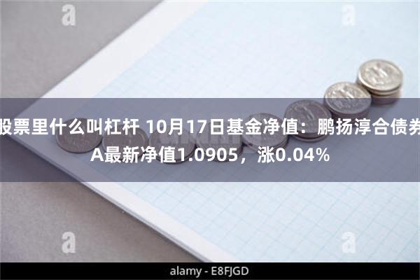 股票里什么叫杠杆 10月17日基金净值：鹏扬淳合债券A最新净值1.0905，涨0.04%