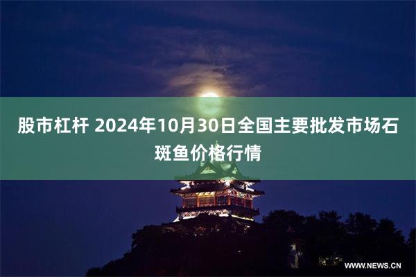 股市杠杆 2024年10月30日全国主要批发市场石斑鱼价格行情