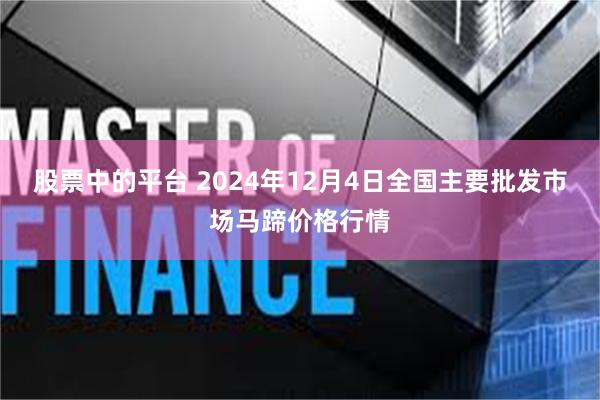 股票中的平台 2024年12月4日全国主要批发市场马蹄价格行情