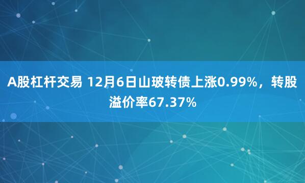 A股杠杆交易 12月6日山玻转债上涨0.99%，转股溢价率67.37%