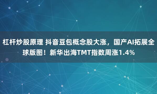 杠杆炒股原理 抖音豆包概念股大涨，国产AI拓展全球版图！新华出海TMT指数周涨1.4%