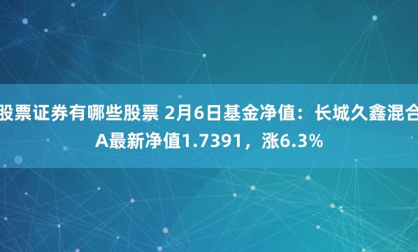 股票证券有哪些股票 2月6日基金净值：长城久鑫混合A最新净值1.7391，涨6.3%