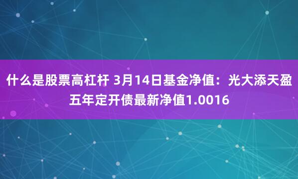 什么是股票高杠杆 3月14日基金净值：光大添天盈五年定开债最新净值1.0016