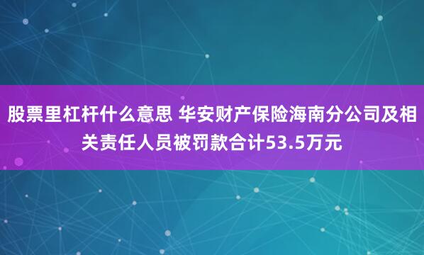 股票里杠杆什么意思 华安财产保险海南分公司及相关责任人员被罚款合计53.5万元