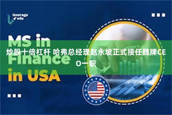 炒股十倍杠杆 哈弗总经理赵永坡正式接任魏牌CEO一职