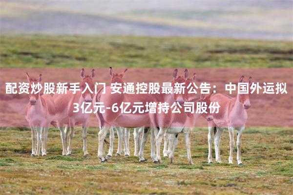 配资炒股新手入门 安通控股最新公告：中国外运拟3亿元-6亿元增持公司股份
