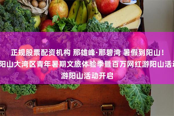 正规股票配资机构 那雄峰·那碧湾 暑假到阳山！2026阳山大湾区青年暑期文旅体验季暨百万网红游阳山活动开启