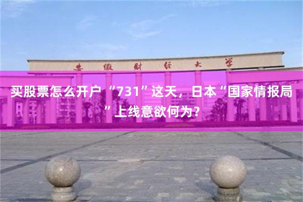 买股票怎么开户 “731”这天，日本“国家情报局”上线意欲何为？